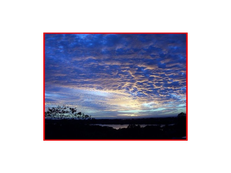 Banora Point NSW 2486