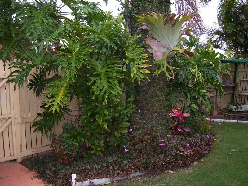 4/1 Advocate Place, Banora Point NSW 2486