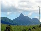 Murwillumbah NSW 2484
