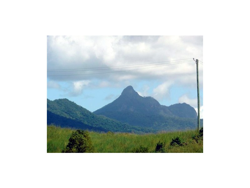 Murwillumbah NSW 2484