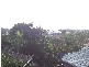 Banora Point NSW 2486