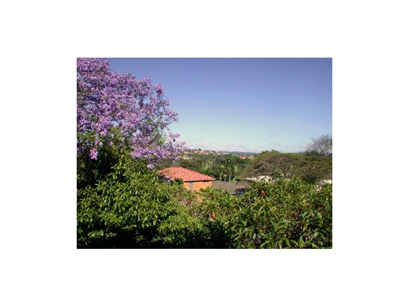 Banora Point NSW 2486