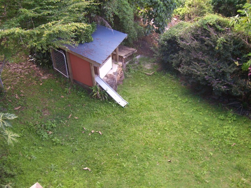 Banora Point NSW 2486