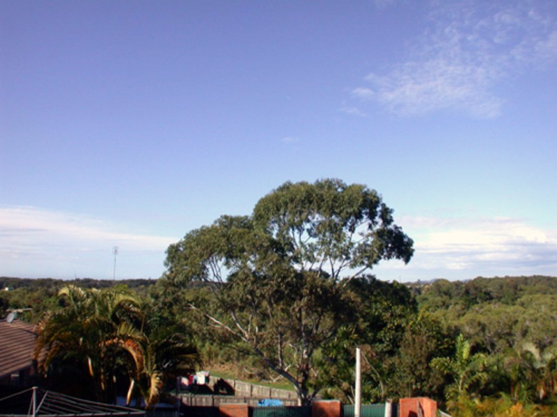 Banora Point NSW 2486