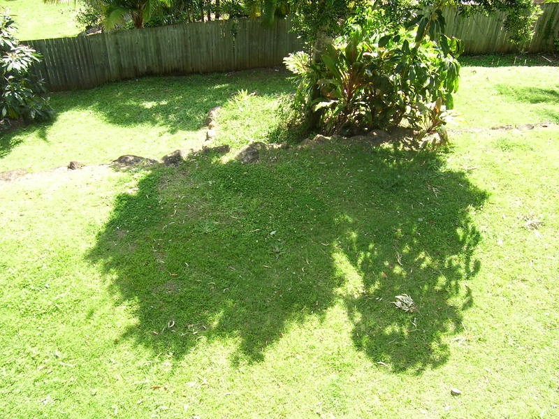 Banora Point NSW 2486