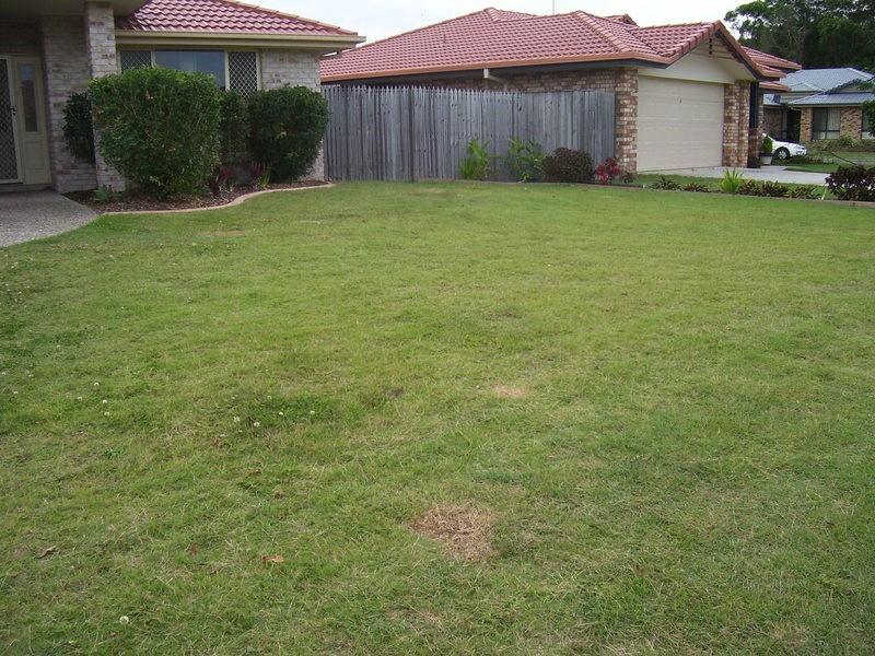 Banora Point NSW 2486