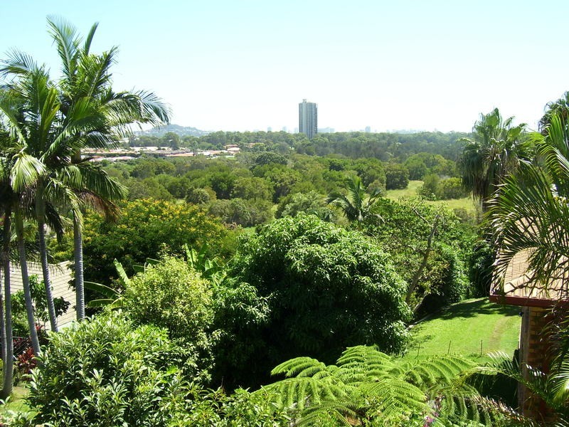 Banora Point NSW 2486