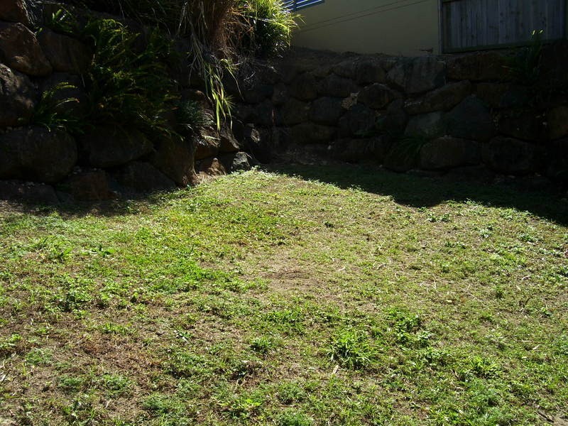 Banora Point NSW 2486