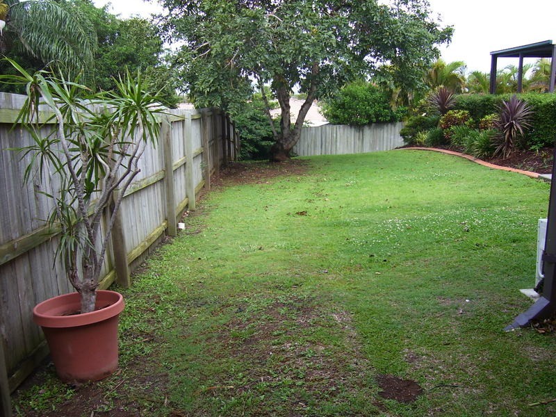 Banora Point NSW 2486
