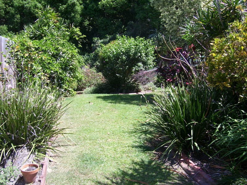 Banora Point NSW 2486