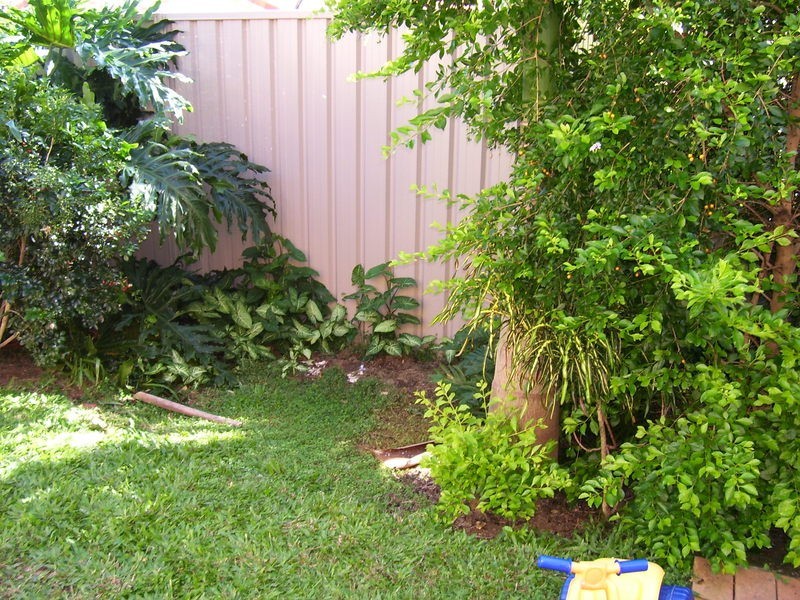 Banora Point NSW 2486