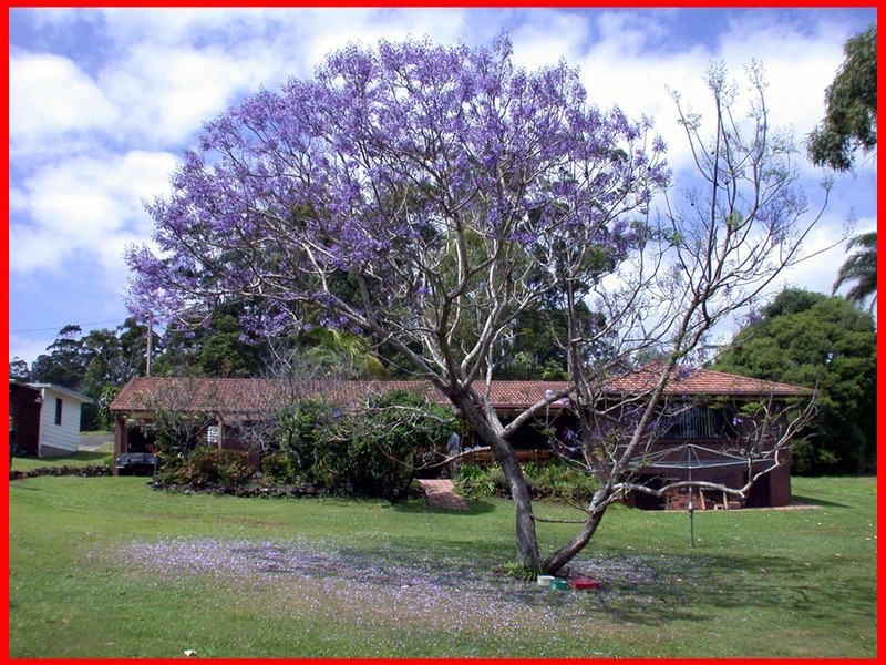 Terranora NSW 2486