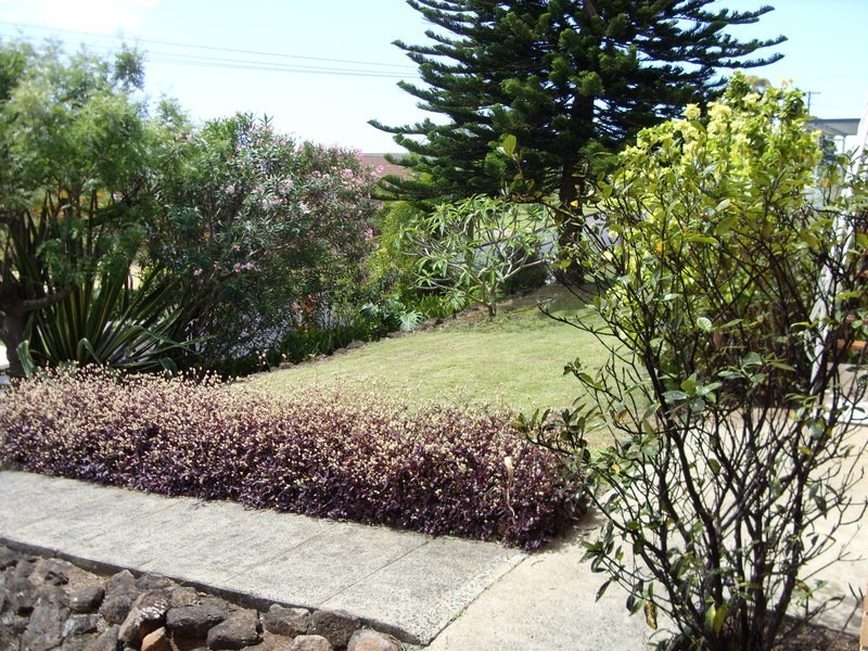 Banora Point NSW 2486