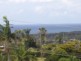 Banora Point NSW 2486