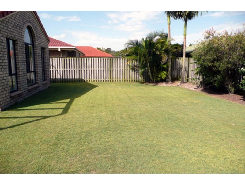 Banora Point NSW 2486