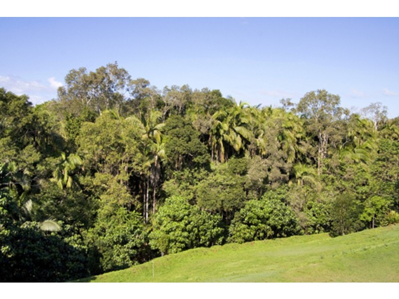 Banora Point NSW 2486