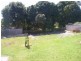 Banora Point NSW 2486