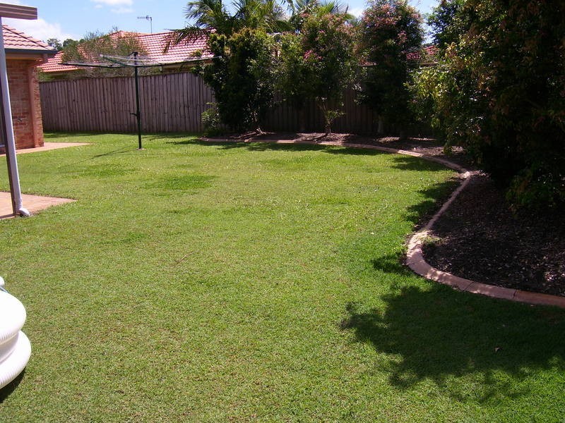 Banora Point NSW 2486