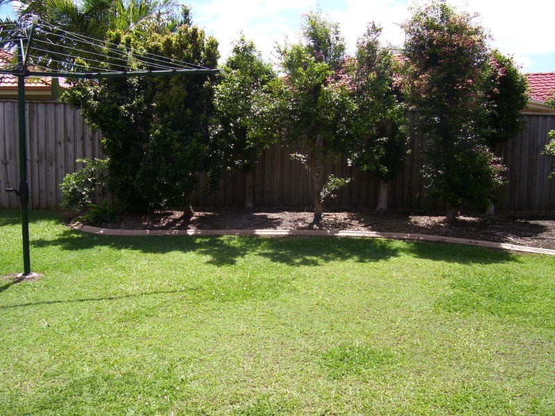 Banora Point NSW 2486