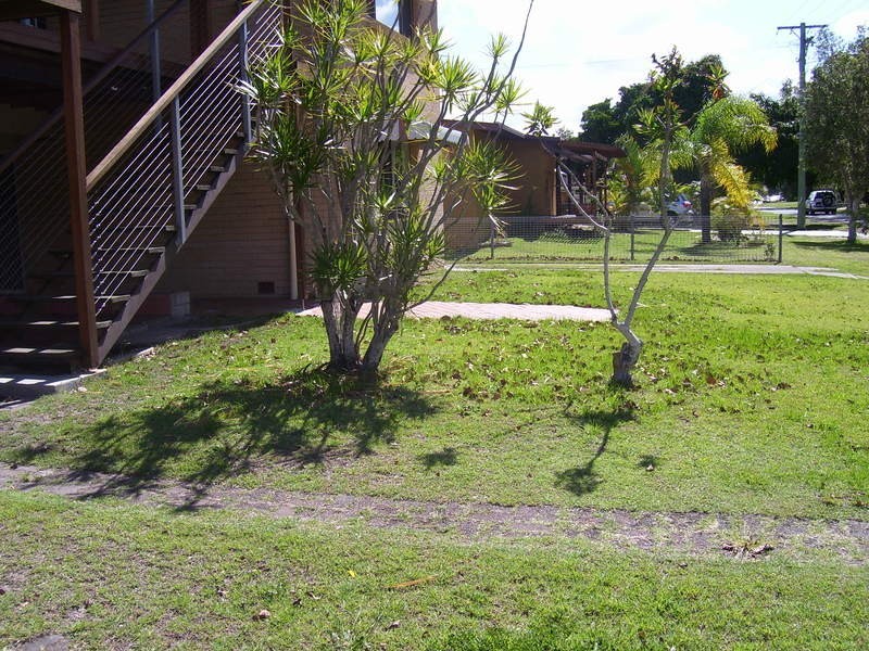 Tweed Heads South NSW 2486