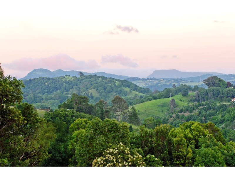 Terranora NSW 2486