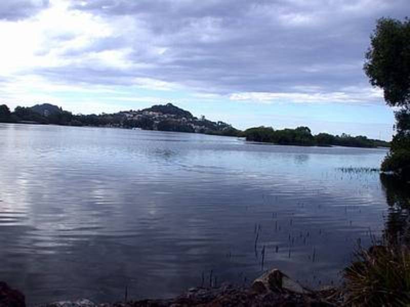 Tweed Heads South NSW 2486