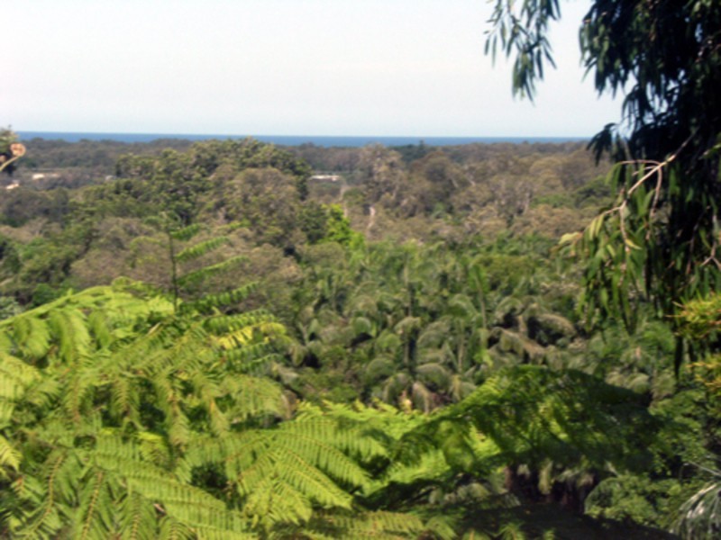 14 Martinelli Avenue, Banora Point NSW 2486