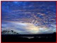 Banora Point NSW 2486