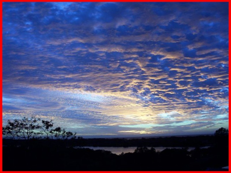 Banora Point NSW 2486