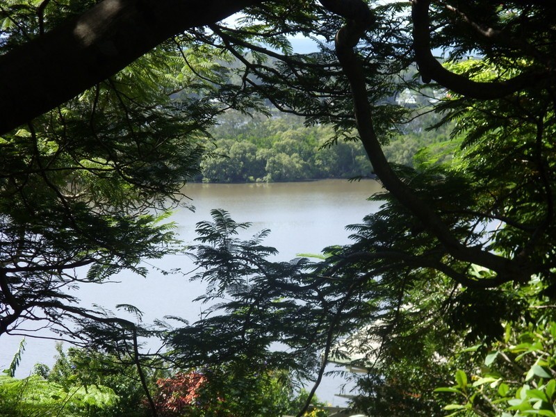 Banora Point NSW 2486