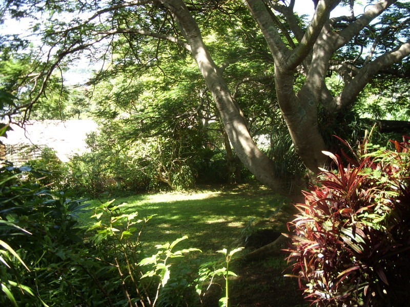 Banora Point NSW 2486