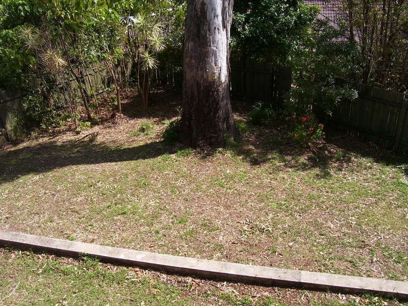 Banora Point NSW 2486