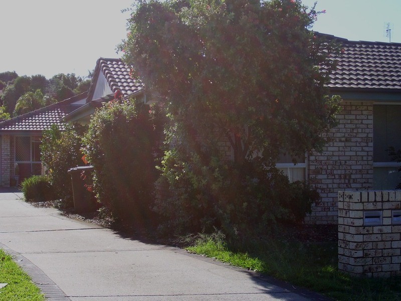 Banora Point NSW 2486