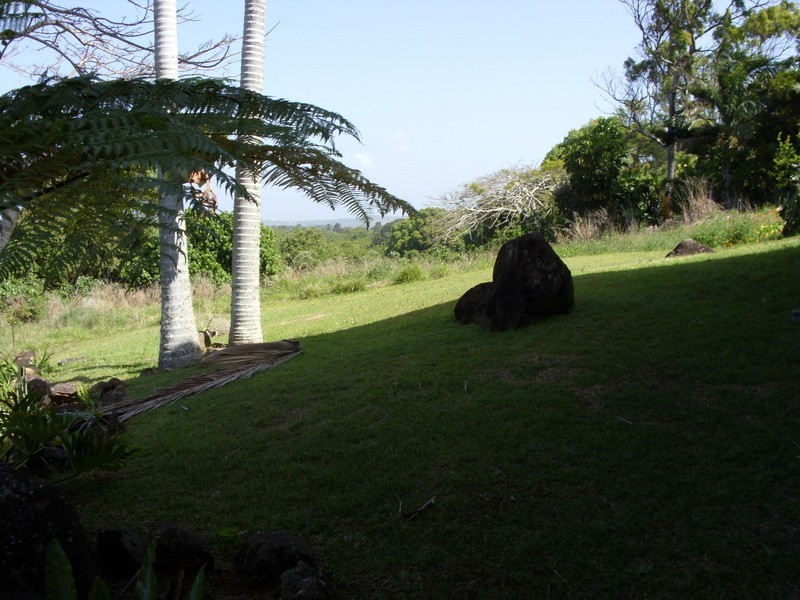 Banora Point NSW 2486