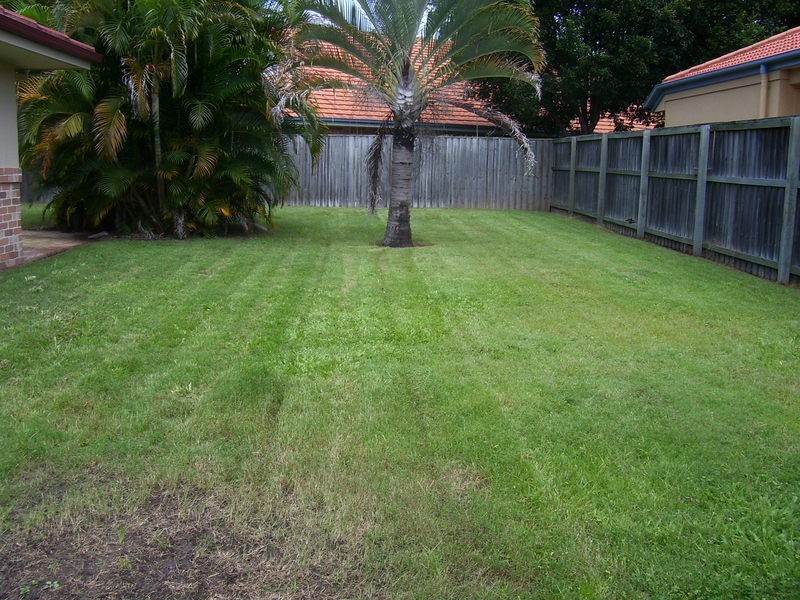 Banora Point NSW 2486