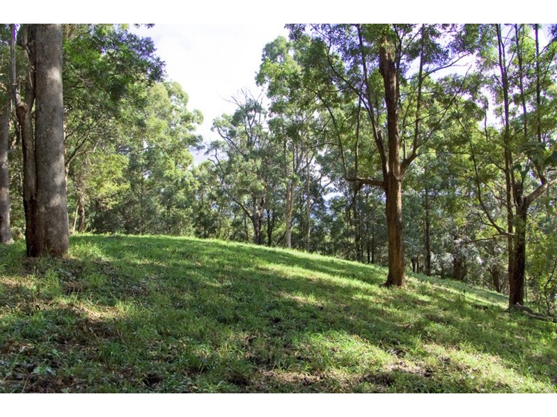 13 Cobaki Road, Cobaki NSW 2486
