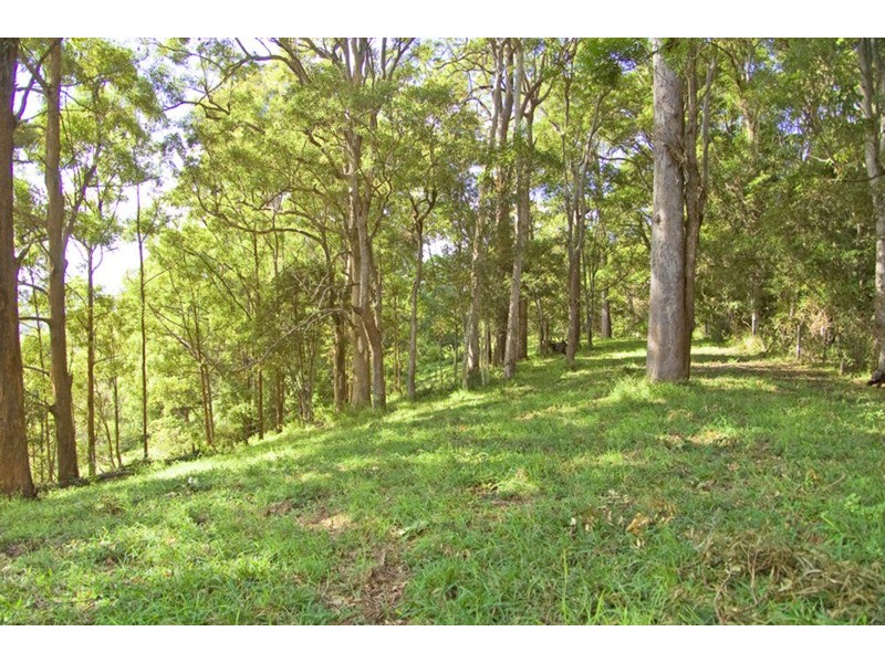 13 Cobaki Road, Cobaki NSW 2486