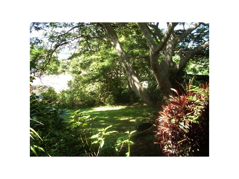 Banora Point NSW 2486