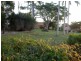 Banora Point NSW 2486