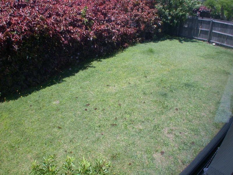 Banora Point NSW 2486