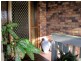 Banora Point NSW 2486