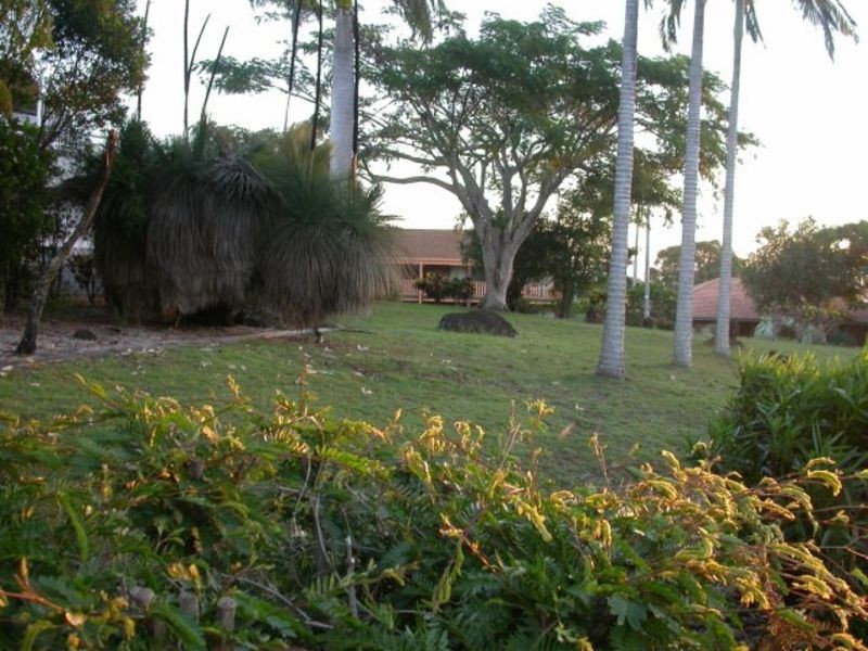 Banora Point NSW 2486