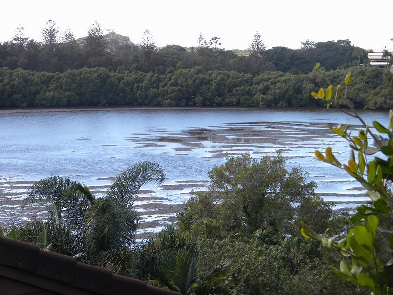 Banora Point NSW 2486