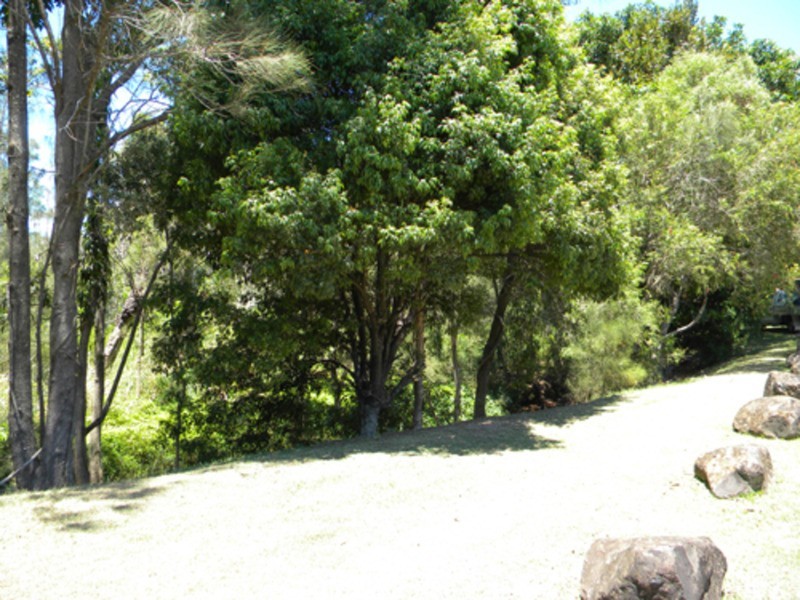 49 Blueberry Court, Banora Point NSW 2486