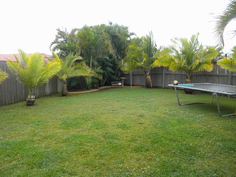 Banora Point NSW 2486