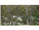 Tweed Heads South NSW 2486