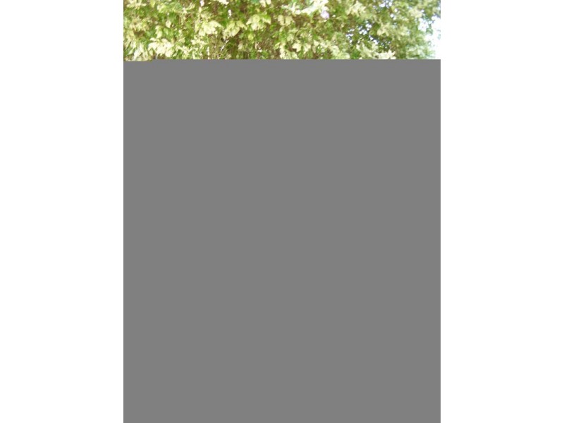 Tweed Heads South NSW 2486