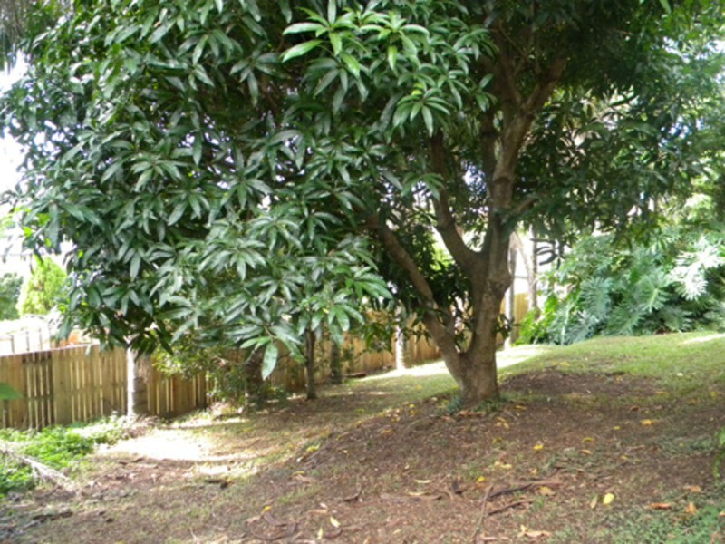 95 Ash Drive, Banora Point NSW 2486