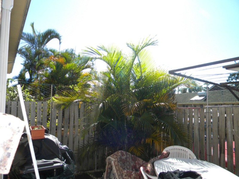 2/9 William Street, Tweed Heads South NSW 2486