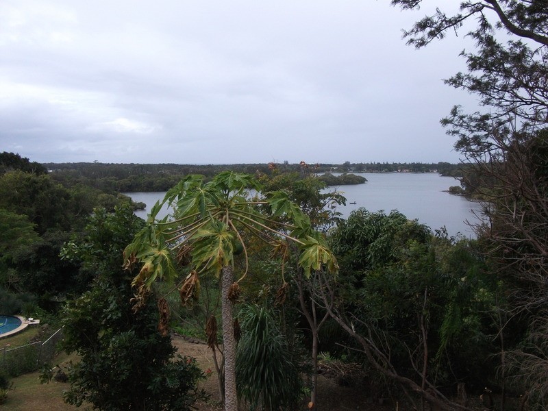 Banora Point NSW 2486